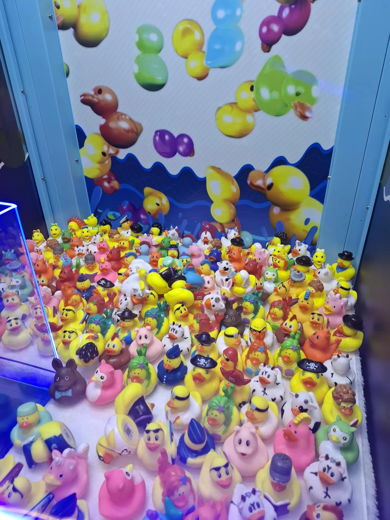Photo du jeu de attrape-canards